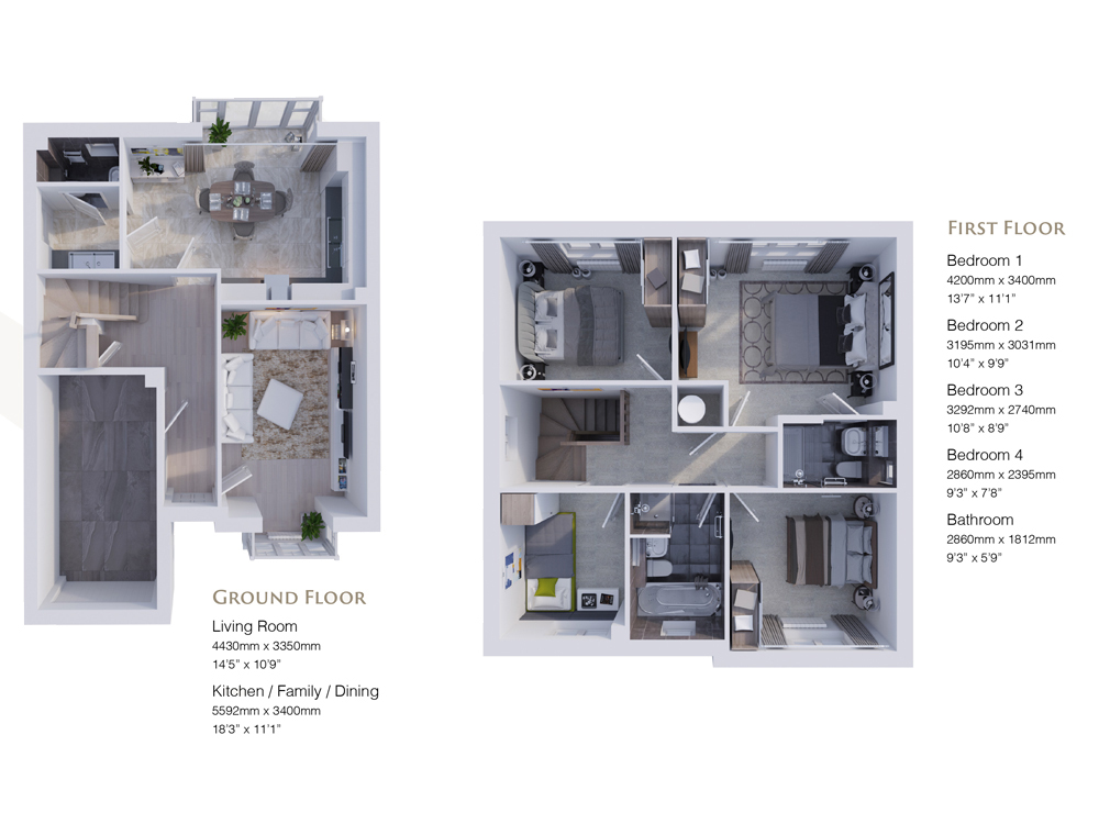 Property Detail